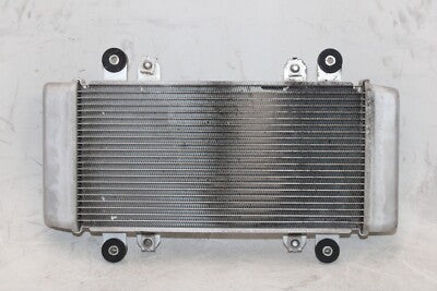 13-17 KAWASAKI NINJA 300 OEM ENGINE RADIATOR MOTOR COOLER COOLING RADIATER