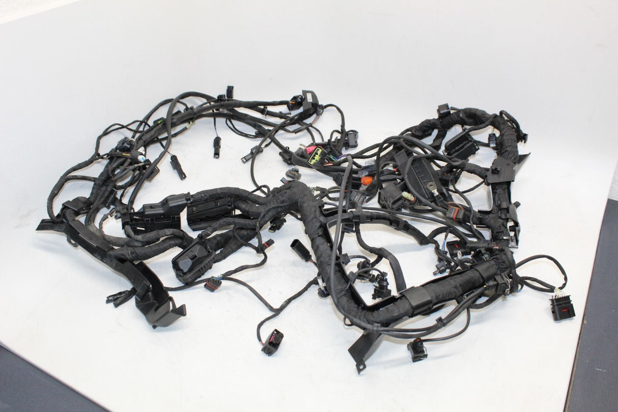 2021 BMW S1000XR Main Engine Wiring Harness Wire Loom Cable OEM