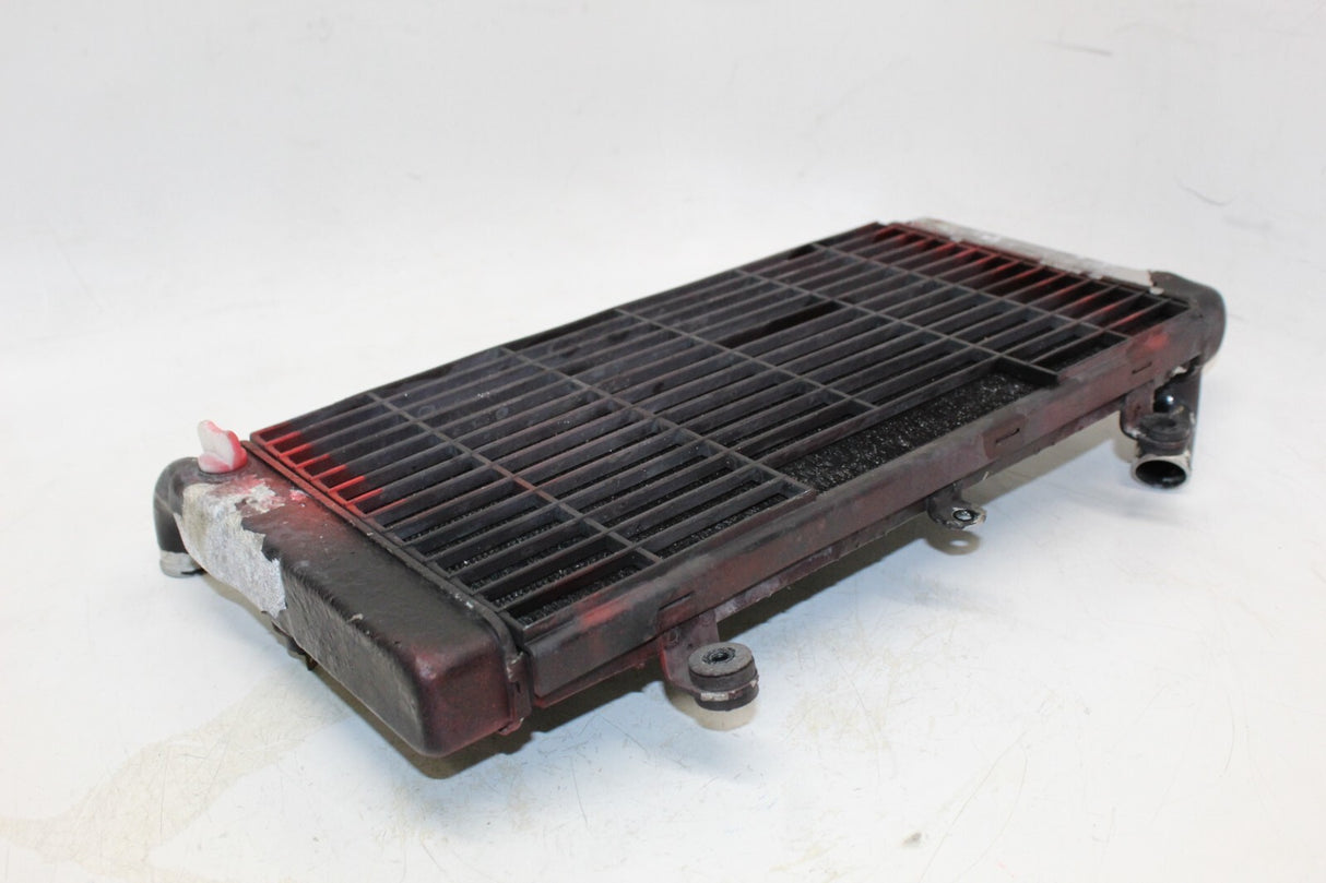 1993 HONDA ST1100 RADIATOR Engine Coolant Radiator GRILLE