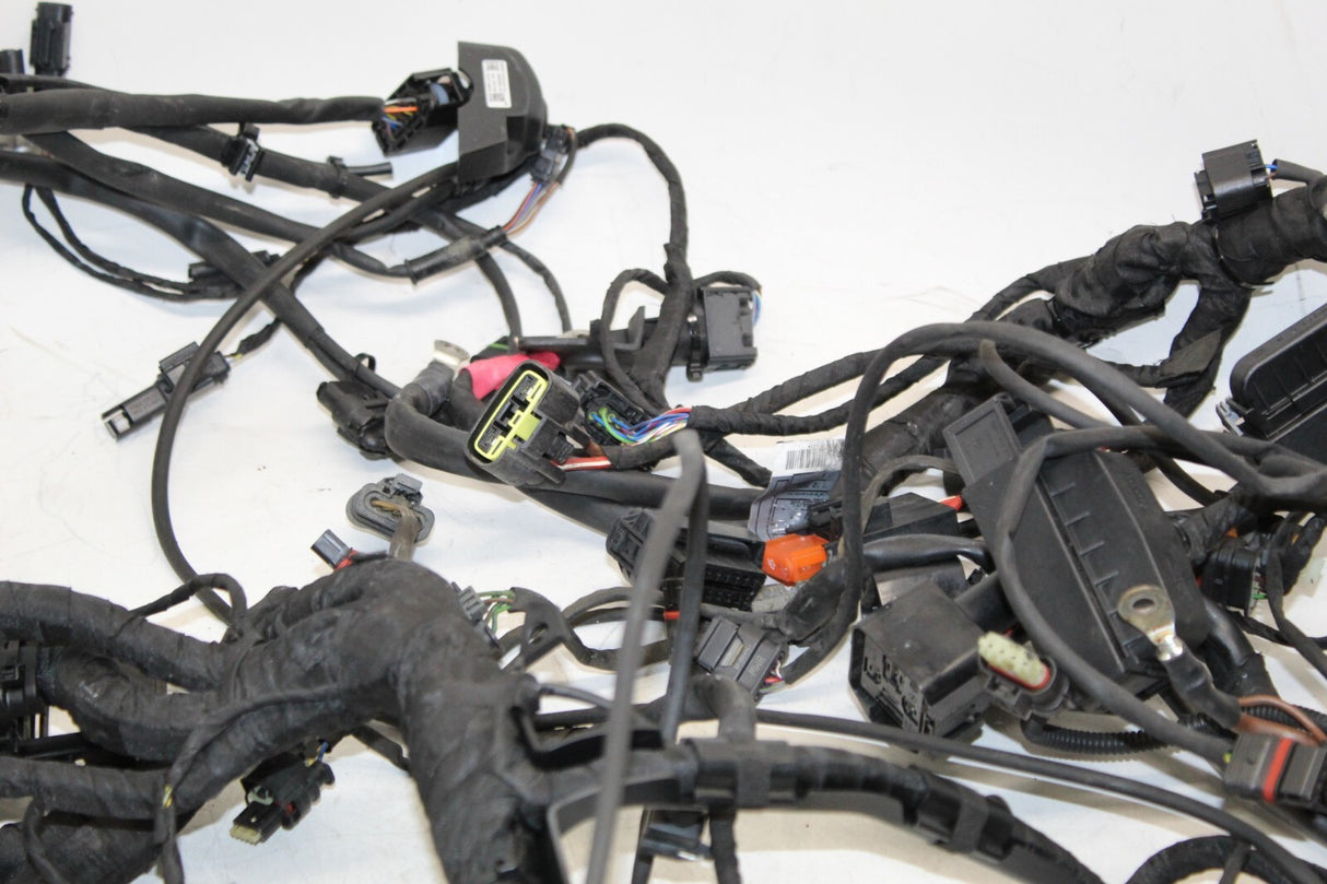 2021 BMW S1000XR Main Engine Wiring Harness Wire Loom Cable OEM