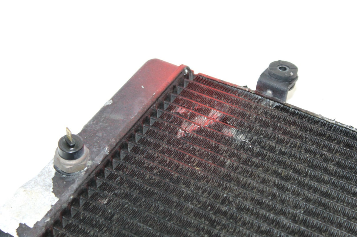1993 HONDA ST1100 RADIATOR Engine Coolant Radiator GRILLE
