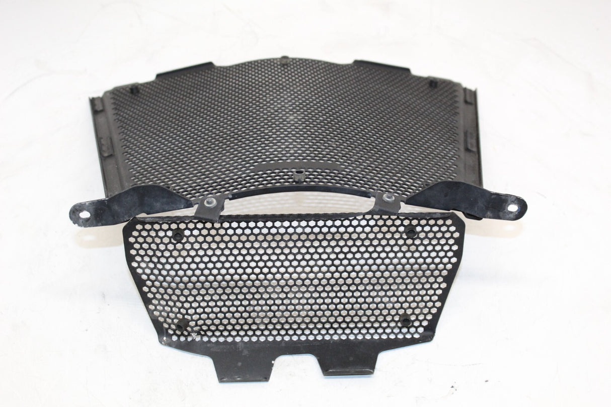 2021 BMW S1000 XR Radiator Oil Cooler Guard Grille Cover Protector OEM