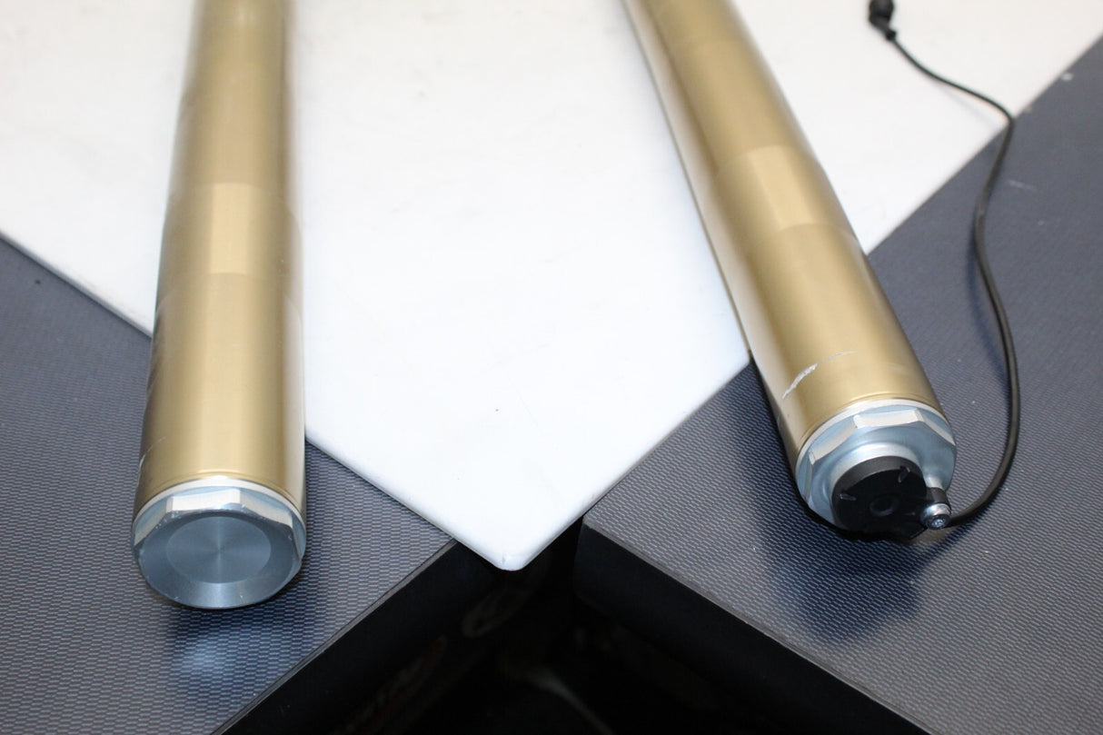 2021 BMW S1000XR Front Left Right Fork Suspension Tube OEM