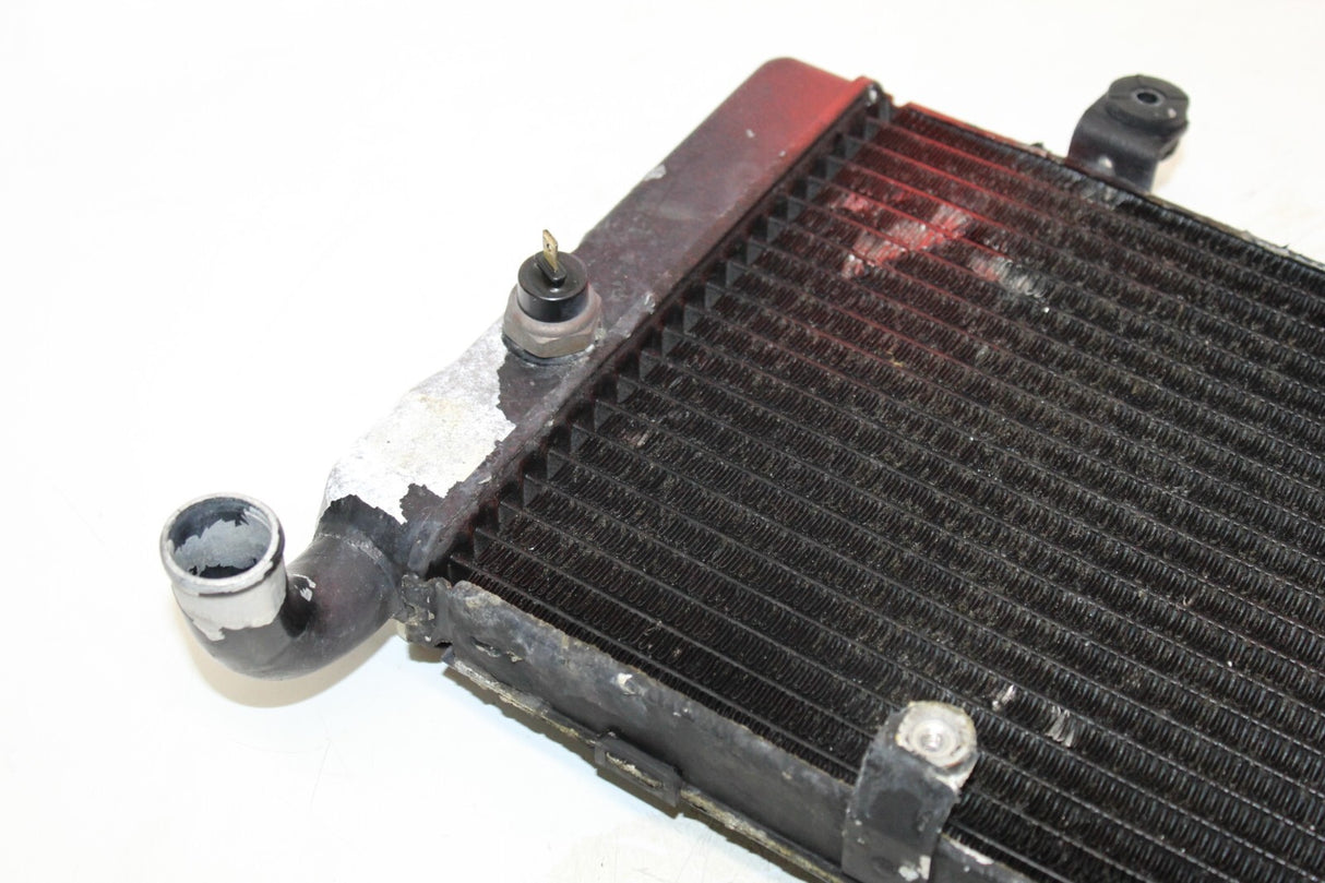 1993 HONDA ST1100 RADIATOR Engine Coolant Radiator GRILLE