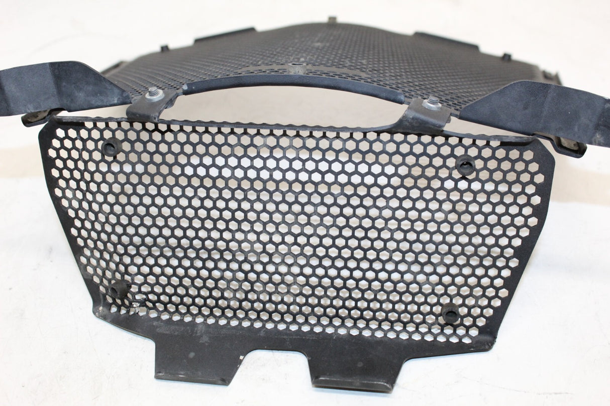 2021 BMW S1000 XR Radiator Oil Cooler Guard Grille Cover Protector OEM