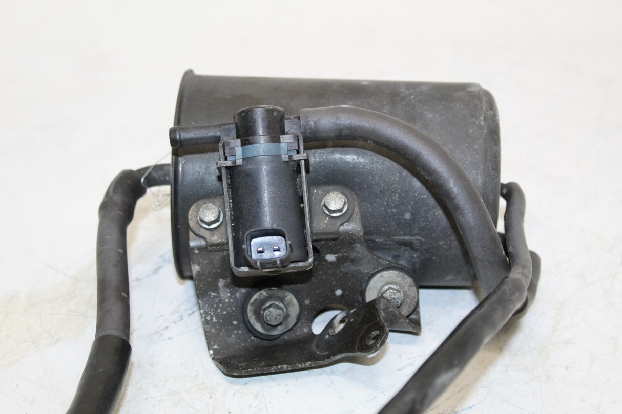01-03 Honda Cbr600f4i Evap Vapor Charcoal Emission Canister OEM