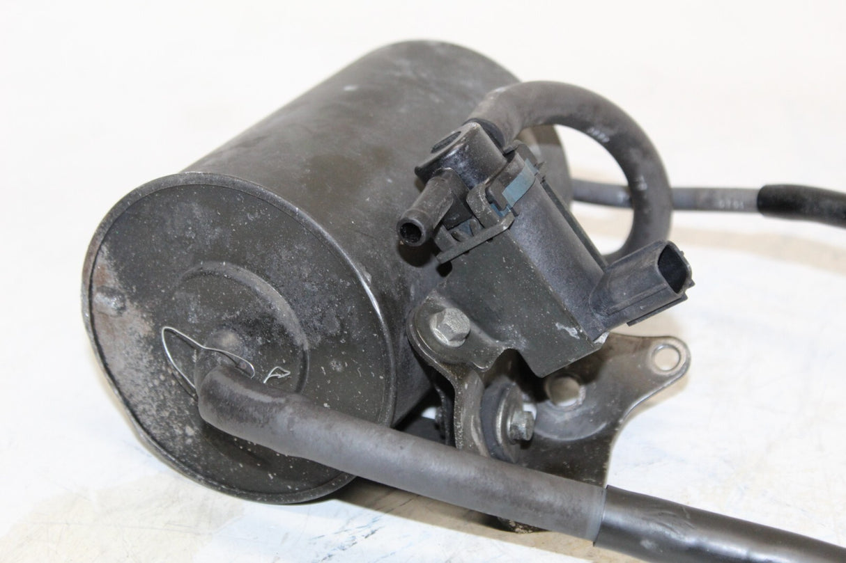 01-03 Honda Cbr600f4i Evap Vapor Charcoal Emission Canister OEM