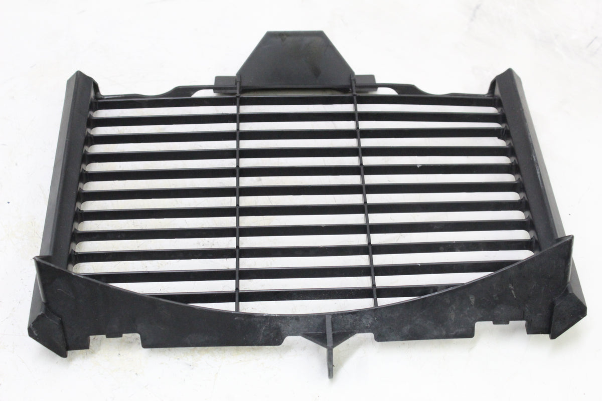 2005 YAMAHA FZ6 OEM RADIATOR GUARD GRILLE SHIELD COVER