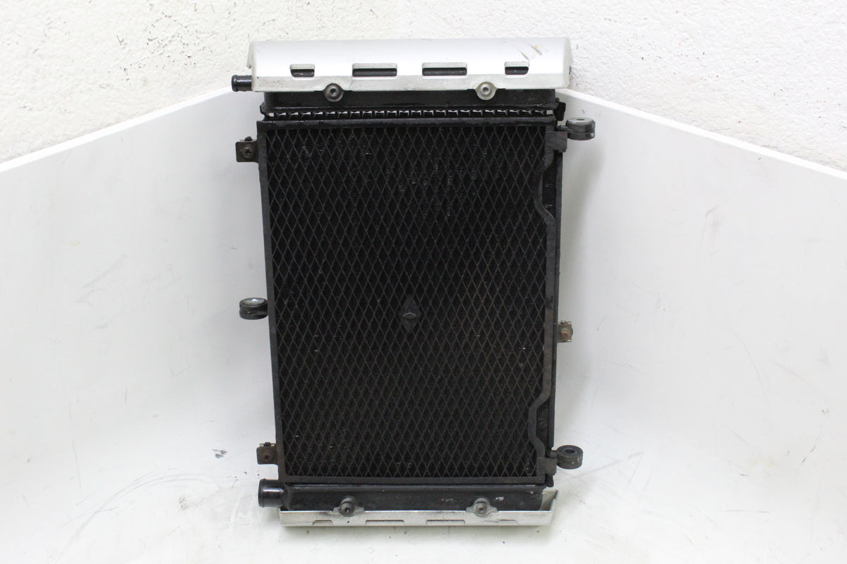 2003 Yamaha FZ1 FZS1000 Fazer OEM ENGINE RADIATOR MOTOR COOLER COOLING RADIATER