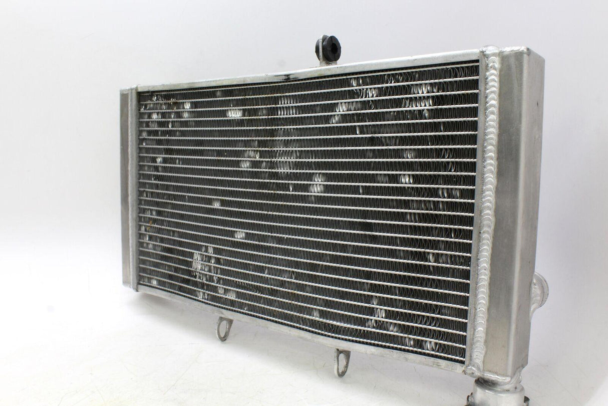1998 Honda Cbr1100xx Engine Radiator Motor Cooler Cooling Radiater Oem - Gold River Motorsports