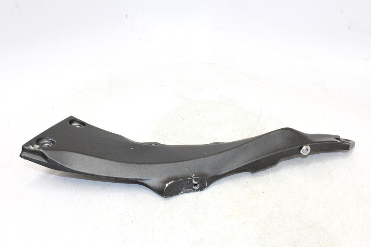 2018 Kawasaki Zx1000r Right Side Swingarm - Gold River Motorsports