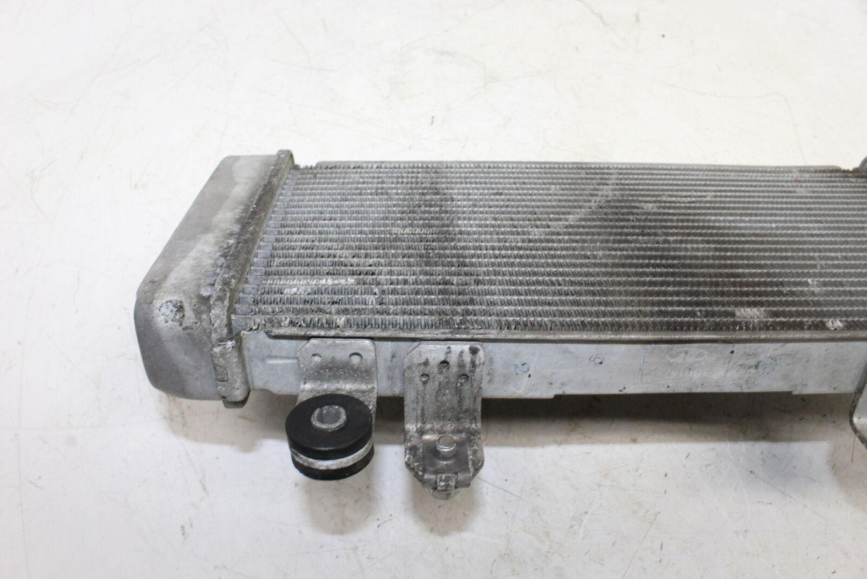 2013-2016 Kawasaki Ninja 300 Ex300a Engine Radiator Motor Cooler Cooling Radiate - Gold River Motorsports