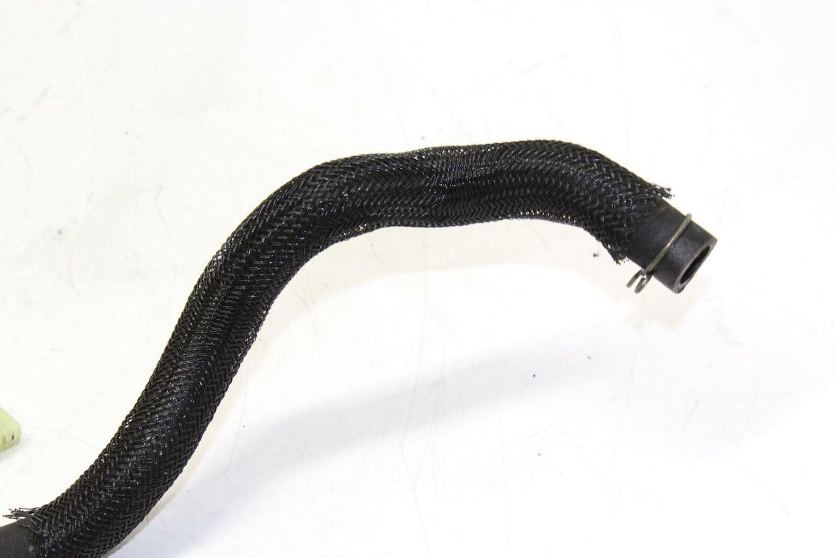 03-07 Suzuki Sv1000s Air Induction Reed Valve Oem - Gold River Motorsports