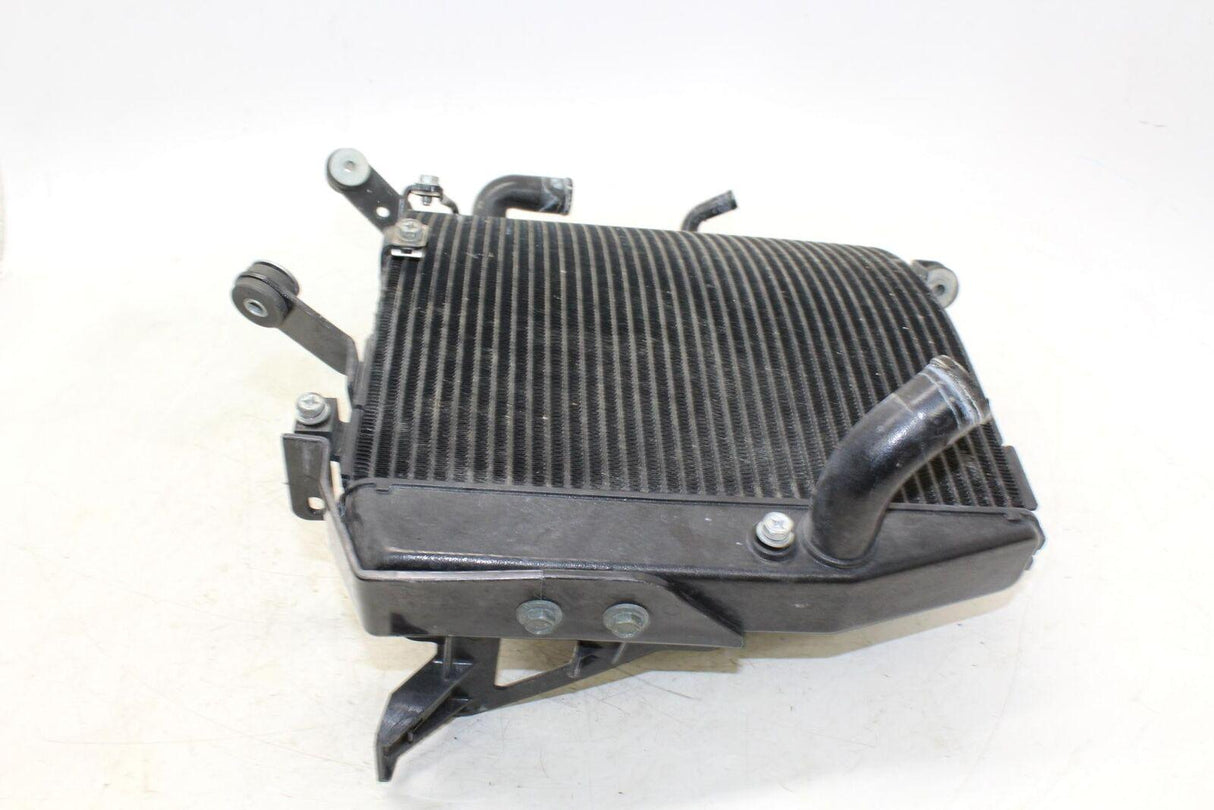 2007 Yamaha Yzf R1 Engine Radiator Motor Cooler Cooling Radiater - Gold River Motorsports