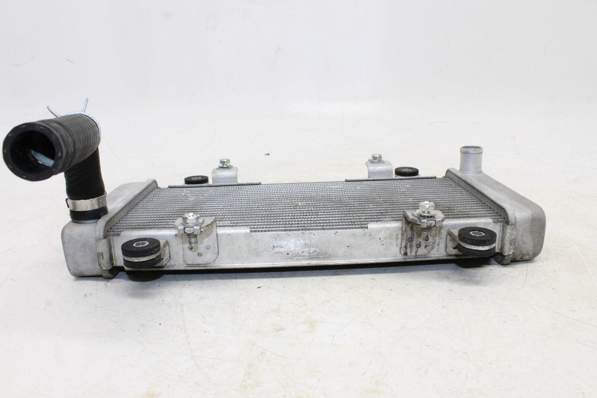 2013-2016 Kawasaki Ninja 300 Ex300a Engine Radiator Motor Cooler Cooling Radiate - Gold River Motorsports