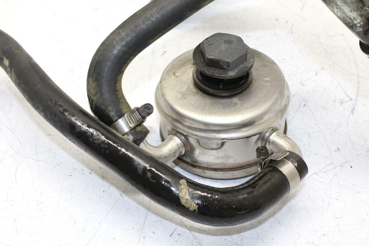 06-08 Triumph Daytona 675 Engine Motor Oil Cooler Oem - Gold River Motorsports