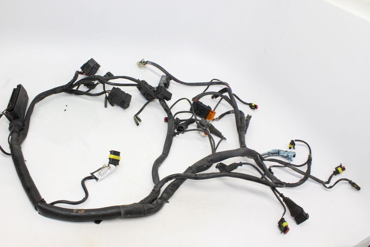 2000 Ducati St4 Main Engine Wiring Harness Motor Wire Loom Oem - Gold River Motorsports