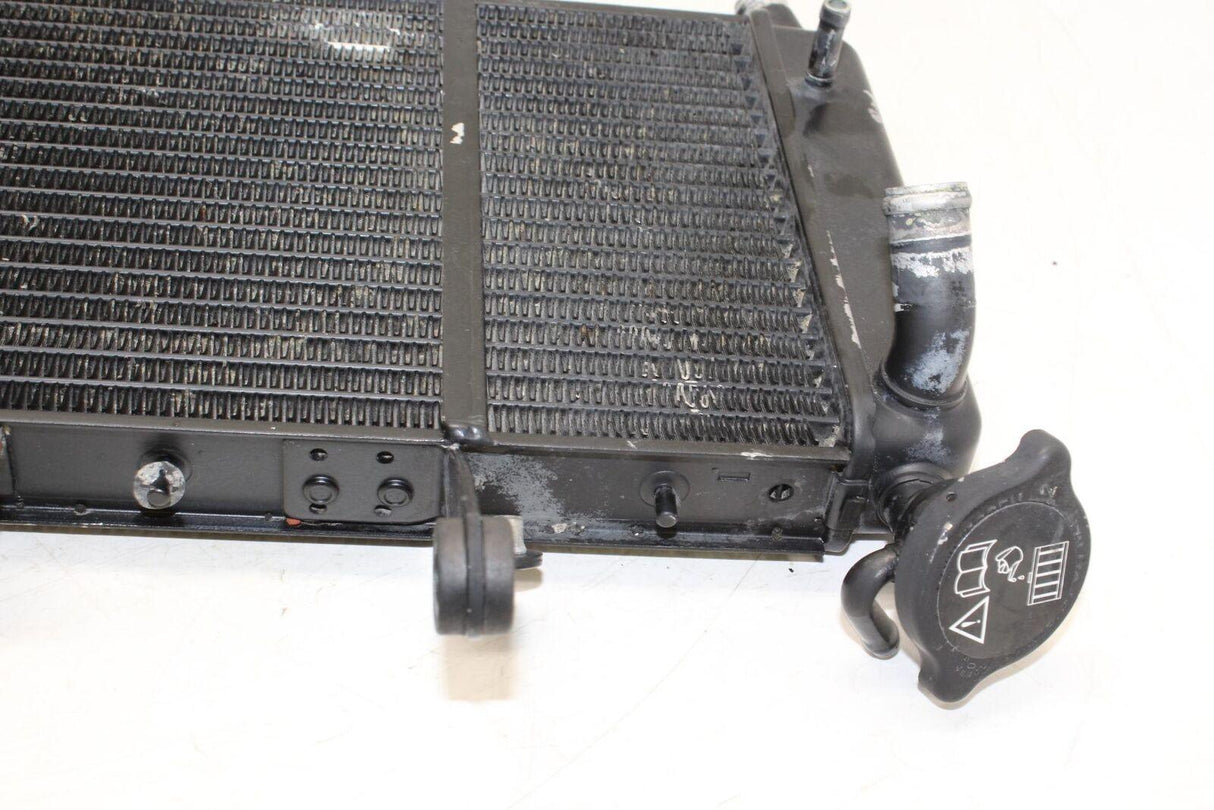 05-07 Triumph Sprint St Engine Radiator Motor Cooler Cooling Radiater Oem - Gold River Motorsports