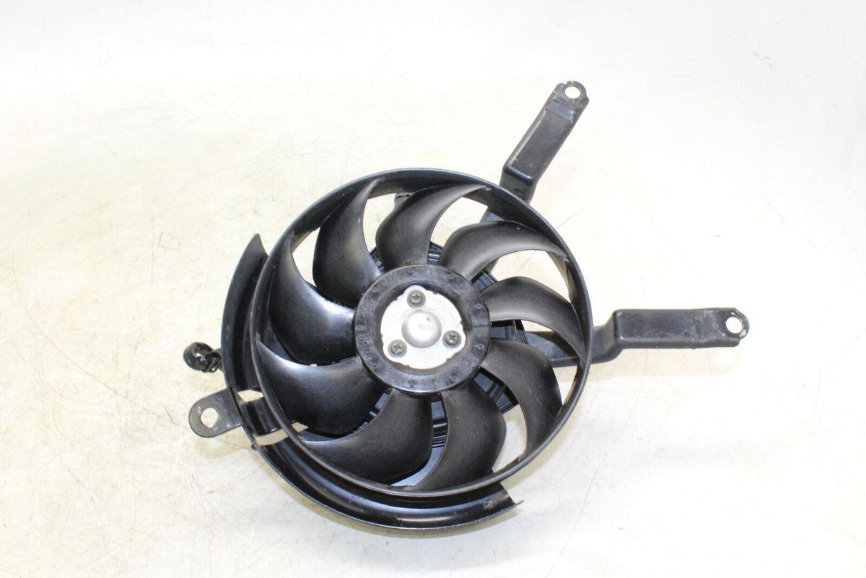 05-06 Kawasaki Z750s Engine Radiator Cooling Fan - Gold River Motorsports