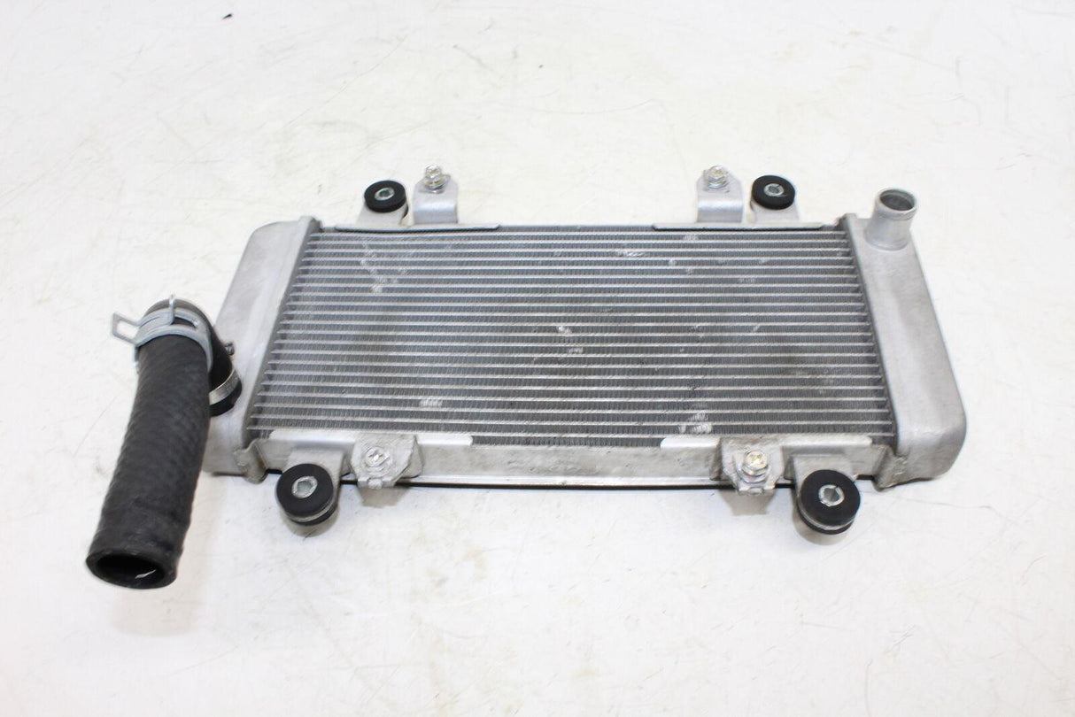 2013-2016 Kawasaki Ninja 300 Ex300a Engine Radiator Motor Cooler Cooling Radiate - Gold River Motorsports