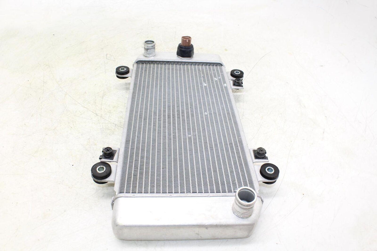 08-12 Kawasaki Ninja 250r Ex250j Engine Radiator Motor Cooler Cooling Radiater - Gold River Motorsports