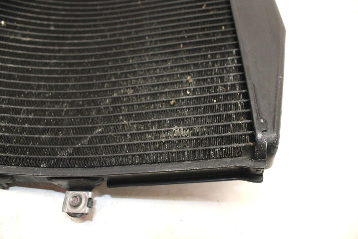 2009 Honda Cbr600rr Engine Radiator Motor Cooler Cooling Radiater - Gold River Motorsports