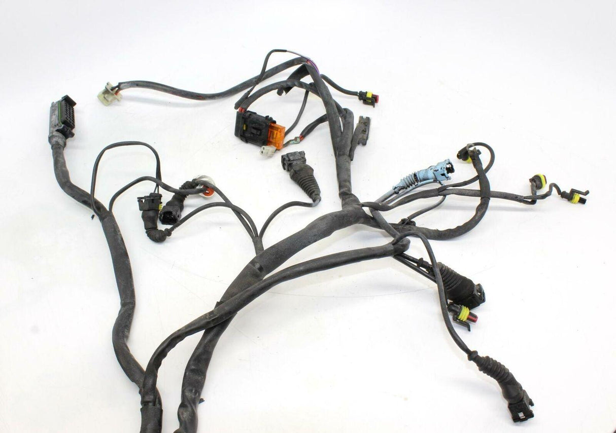 2000 Ducati St4 Main Engine Wiring Harness Motor Wire Loom Oem - Gold River Motorsports