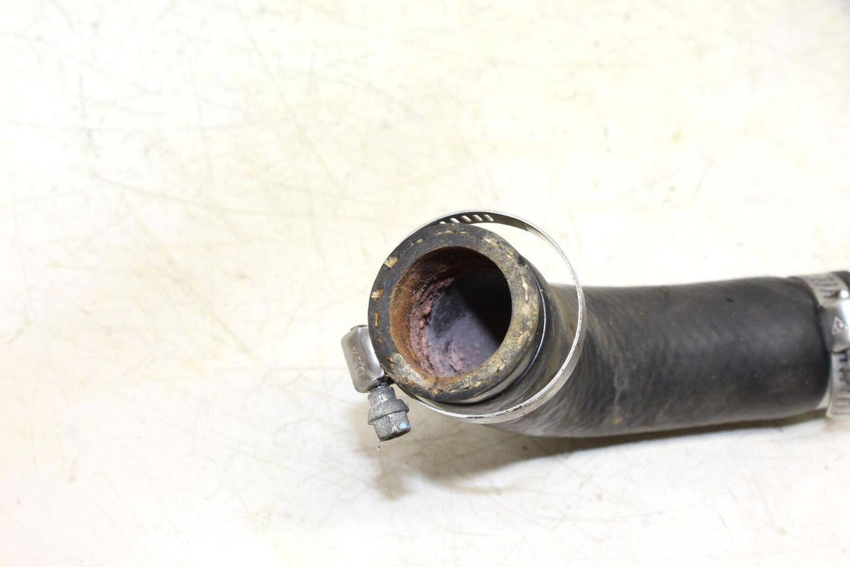 2003 Suzuki Intruder 800 Vs800gl Engine Motor Oil Cooler Hoses Oem - Gold River Motorsports