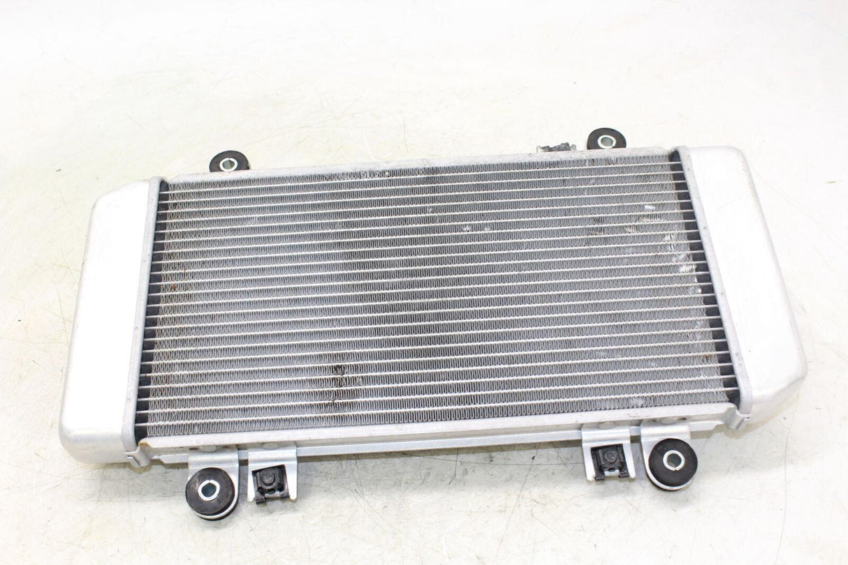 08-12 Kawasaki Ninja 250r Ex250j Engine Radiator Motor Cooler Cooling Radiater - Gold River Motorsports