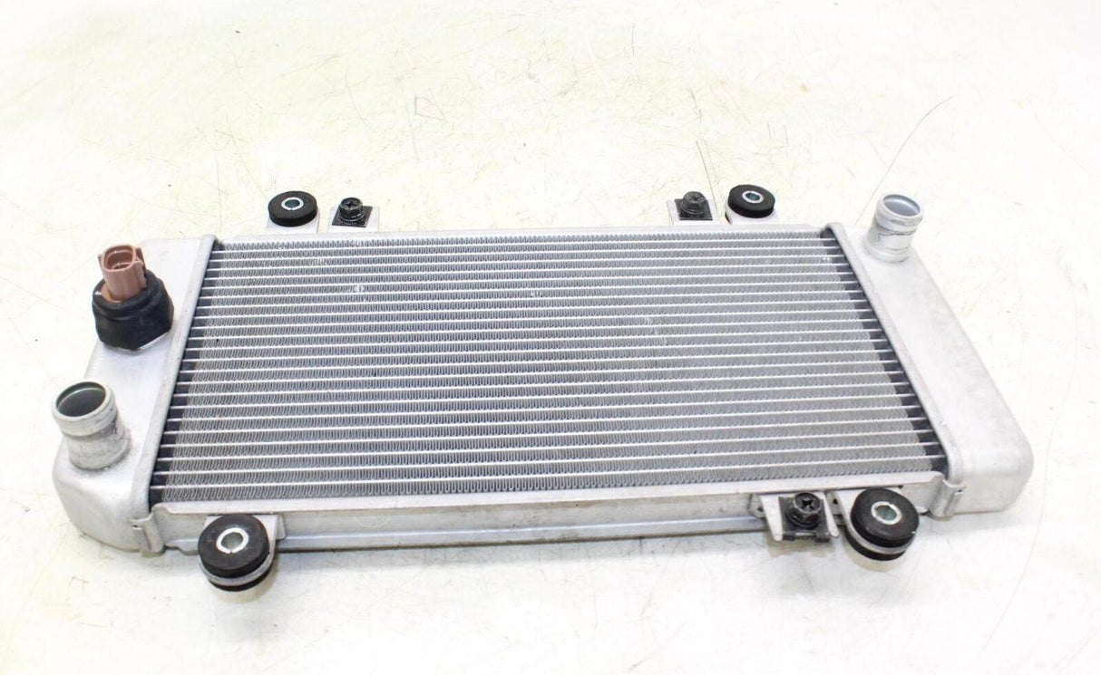 08-12 Kawasaki Ninja 250r Ex250j Engine Radiator Motor Cooler Cooling Radiater - Gold River Motorsports