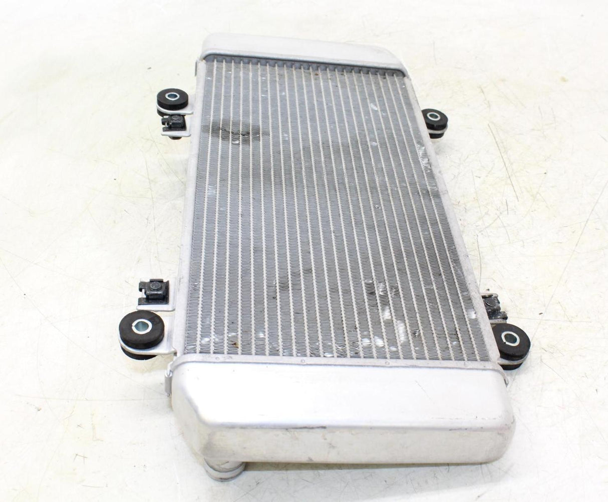 08-12 Kawasaki Ninja 250r Ex250j Engine Radiator Motor Cooler Cooling Radiater - Gold River Motorsports