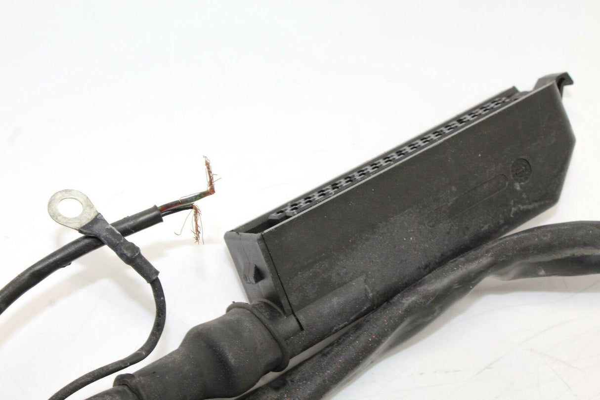 2000 Ducati St4 Main Engine Wiring Harness Motor Wire Loom Oem - Gold River Motorsports