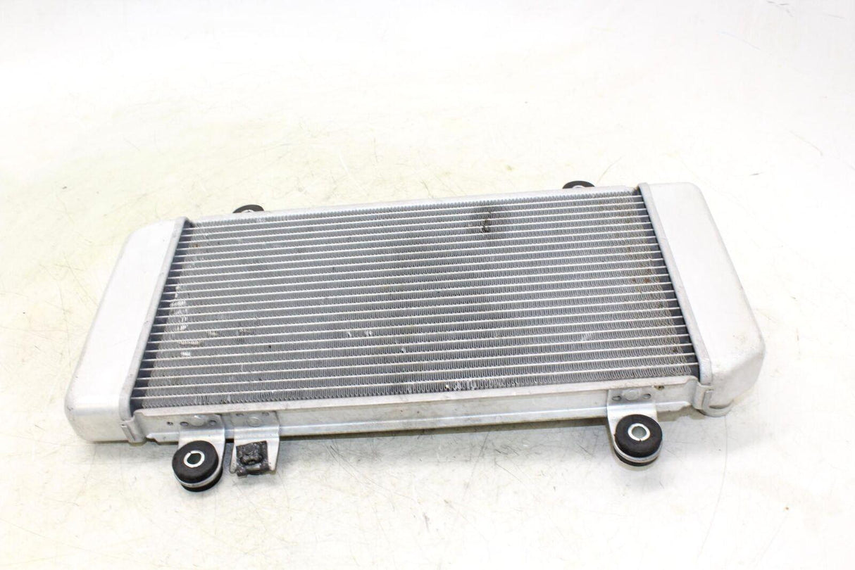 08-12 Kawasaki Ninja 250r Ex250j Engine Radiator Motor Cooler Cooling Radiater - Gold River Motorsports