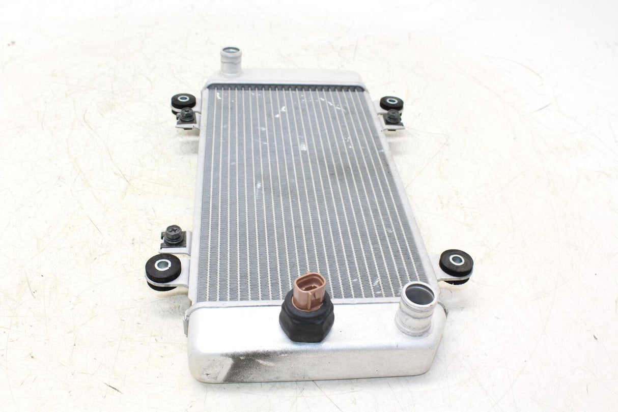 08-12 Kawasaki Ninja 250r Ex250j Engine Radiator Motor Cooler Cooling Radiater - Gold River Motorsports