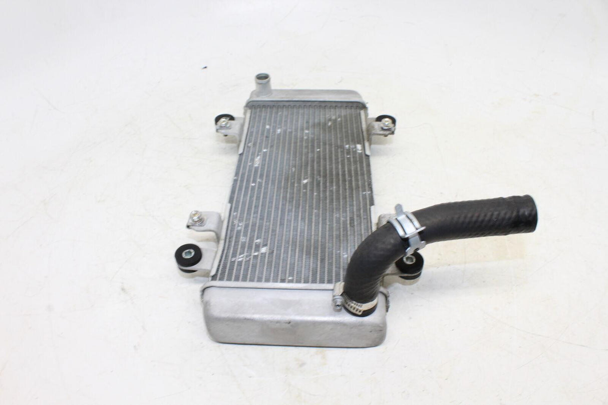 2013-2016 Kawasaki Ninja 300 Ex300a Engine Radiator Motor Cooler Cooling Radiate - Gold River Motorsports