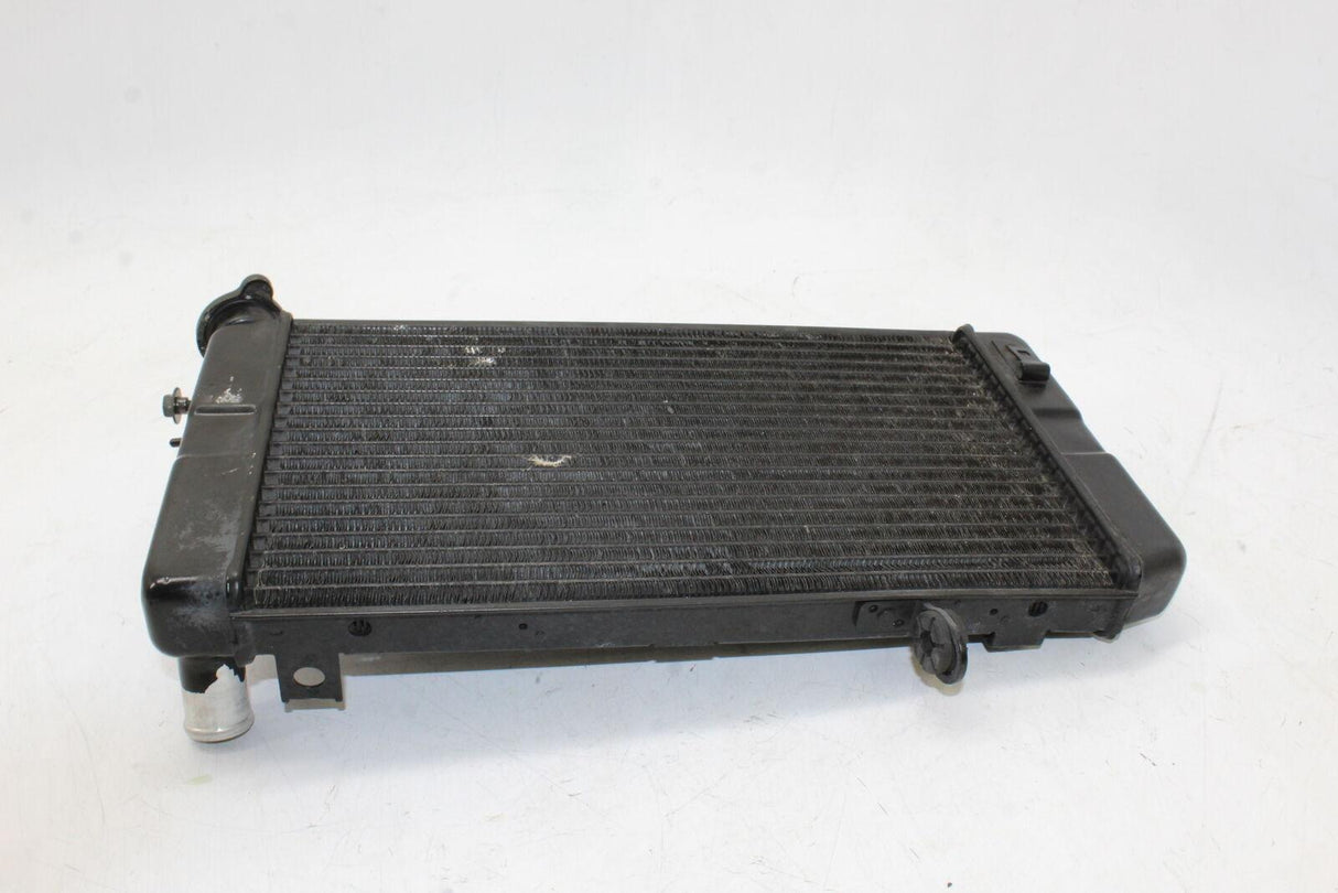 2005 Suzuki Vstrom 1000 Dl1000 Engine Radiator Motor Cooler Cooling Radiater Oem - Gold River Motorsports