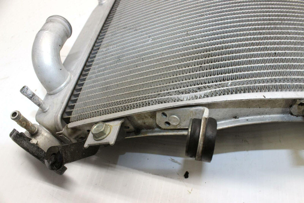 2005-06 Kawasaki Ninja Zx6r Zx636c Engine Radiator Motor Cooler Cooling Radiater - Gold River Motorsports