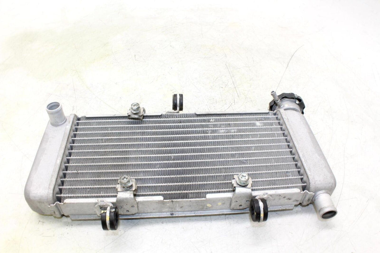 11-13 Honda Cbr250r Engine Radiator Motor Cooler Cooling Radiater Oem - Gold River Motorsports