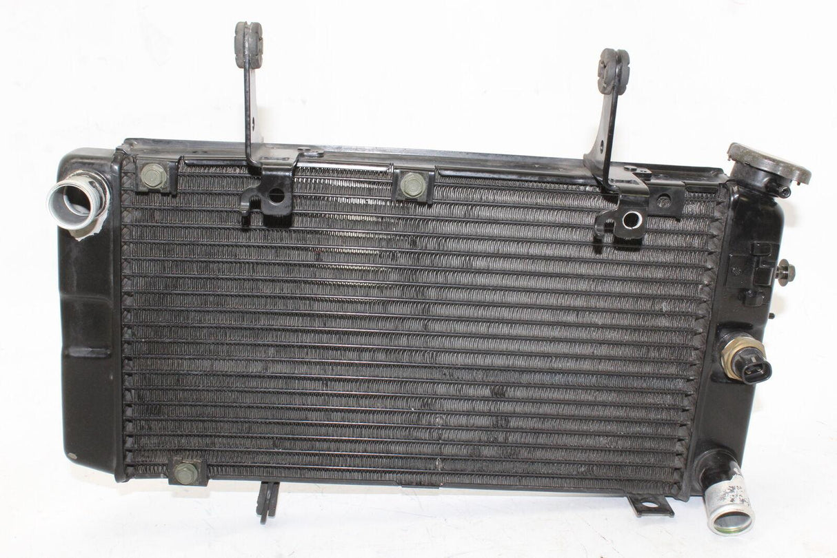 2005 Suzuki Vstrom 1000 Dl1000 Engine Radiator Motor Cooler Cooling Radiater Oem - Gold River Motorsports