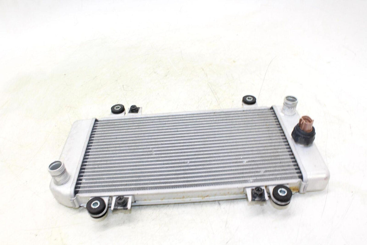08-12 Kawasaki Ninja 250r Ex250j Engine Radiator Motor Cooler Cooling Radiater - Gold River Motorsports
