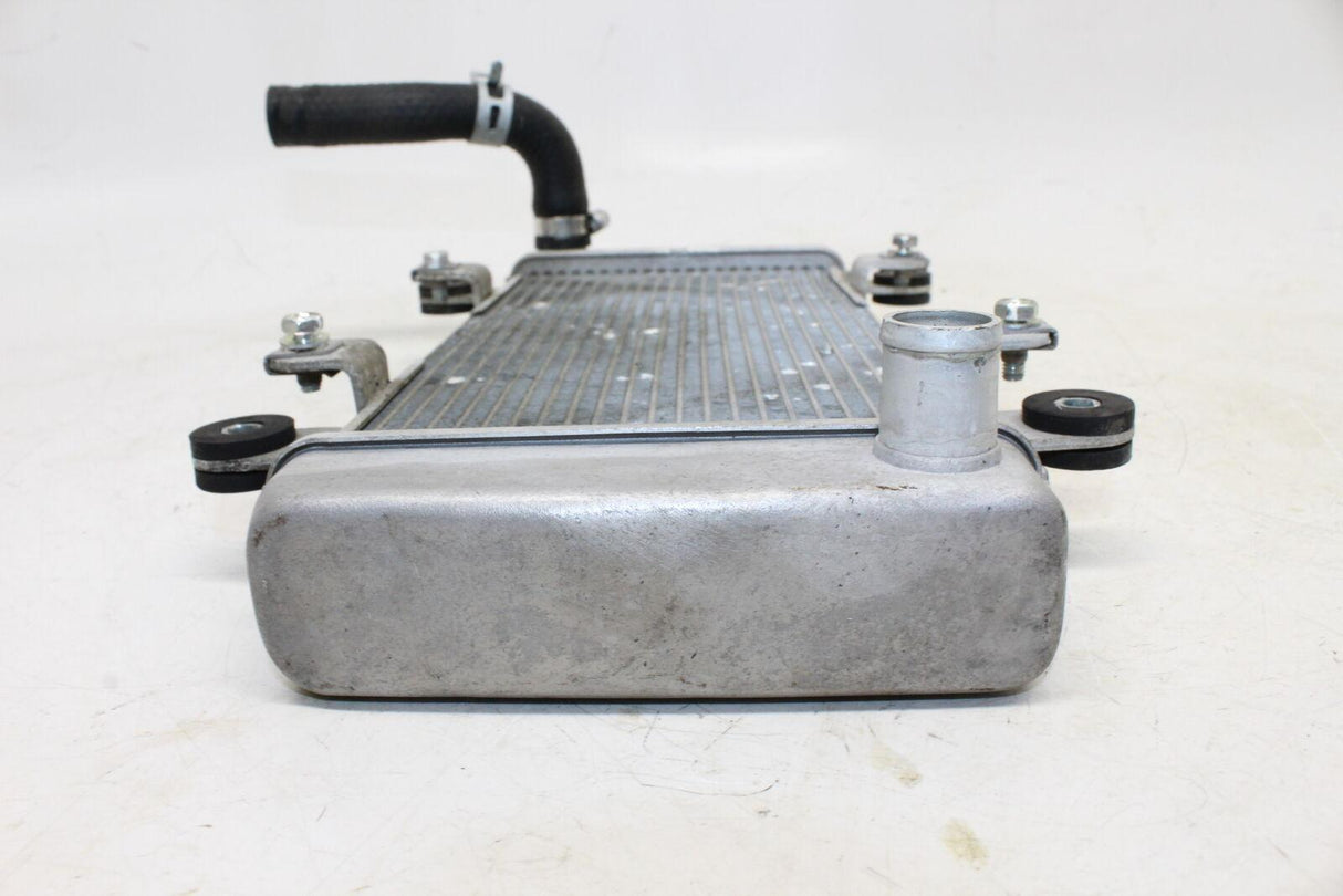 2013-2016 Kawasaki Ninja 300 Ex300a Engine Radiator Motor Cooler Cooling Radiate - Gold River Motorsports