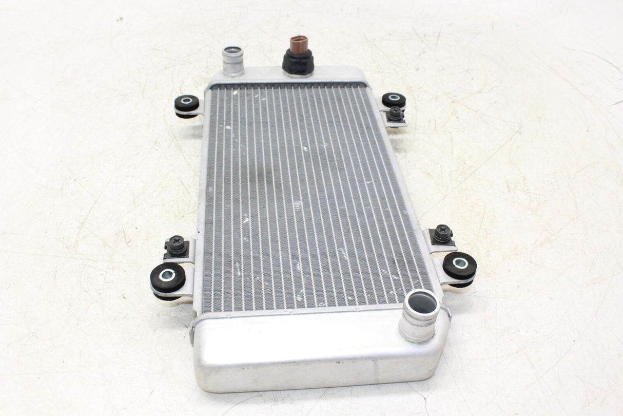 08-12 Kawasaki Ninja 250r Ex250j Engine Radiator Motor Cooler Cooling Radiater - Gold River Motorsports