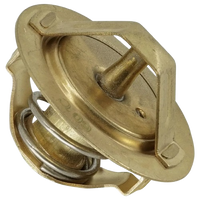 Thermostats & Housings