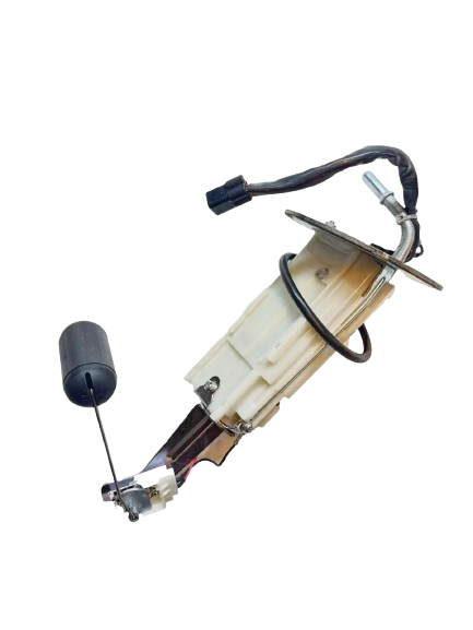 Fuel Pumps & Sending Units