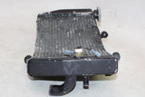 2000 Honda CBR900RR OEM ENGINE RADIATOR MOTOR COOLER COOLING RADIATER