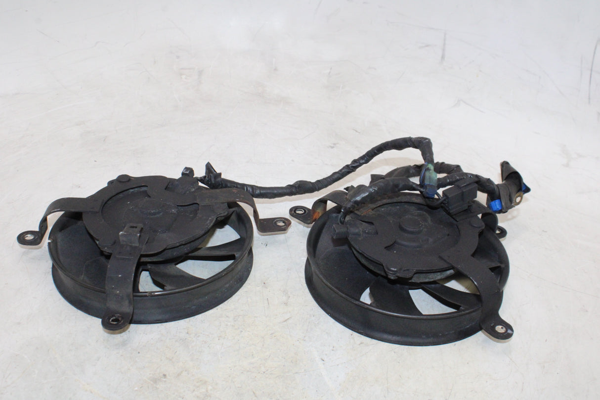 2000 Honda CBR900RR OEM ENGINE RADIATOR COOLING FAN PAIR