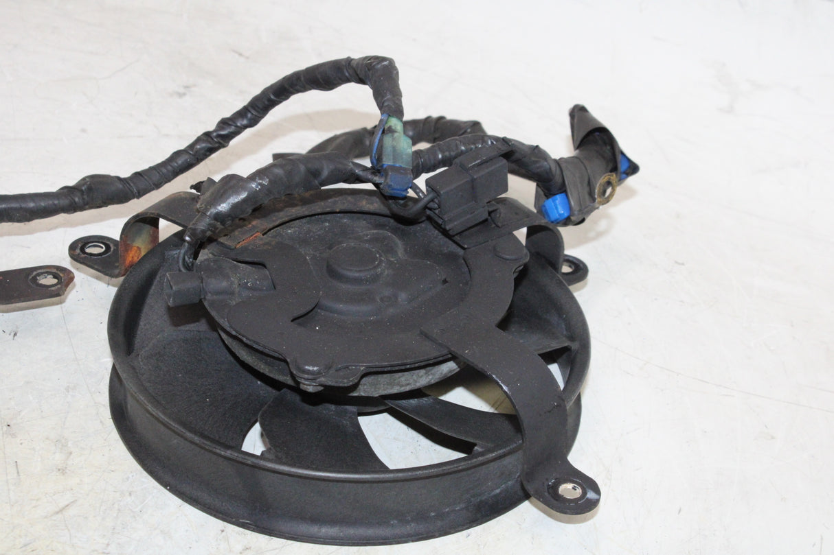 2000 Honda CBR900RR OEM ENGINE RADIATOR COOLING FAN PAIR