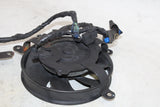 2000 Honda CBR900RR OEM ENGINE RADIATOR COOLING FAN PAIR