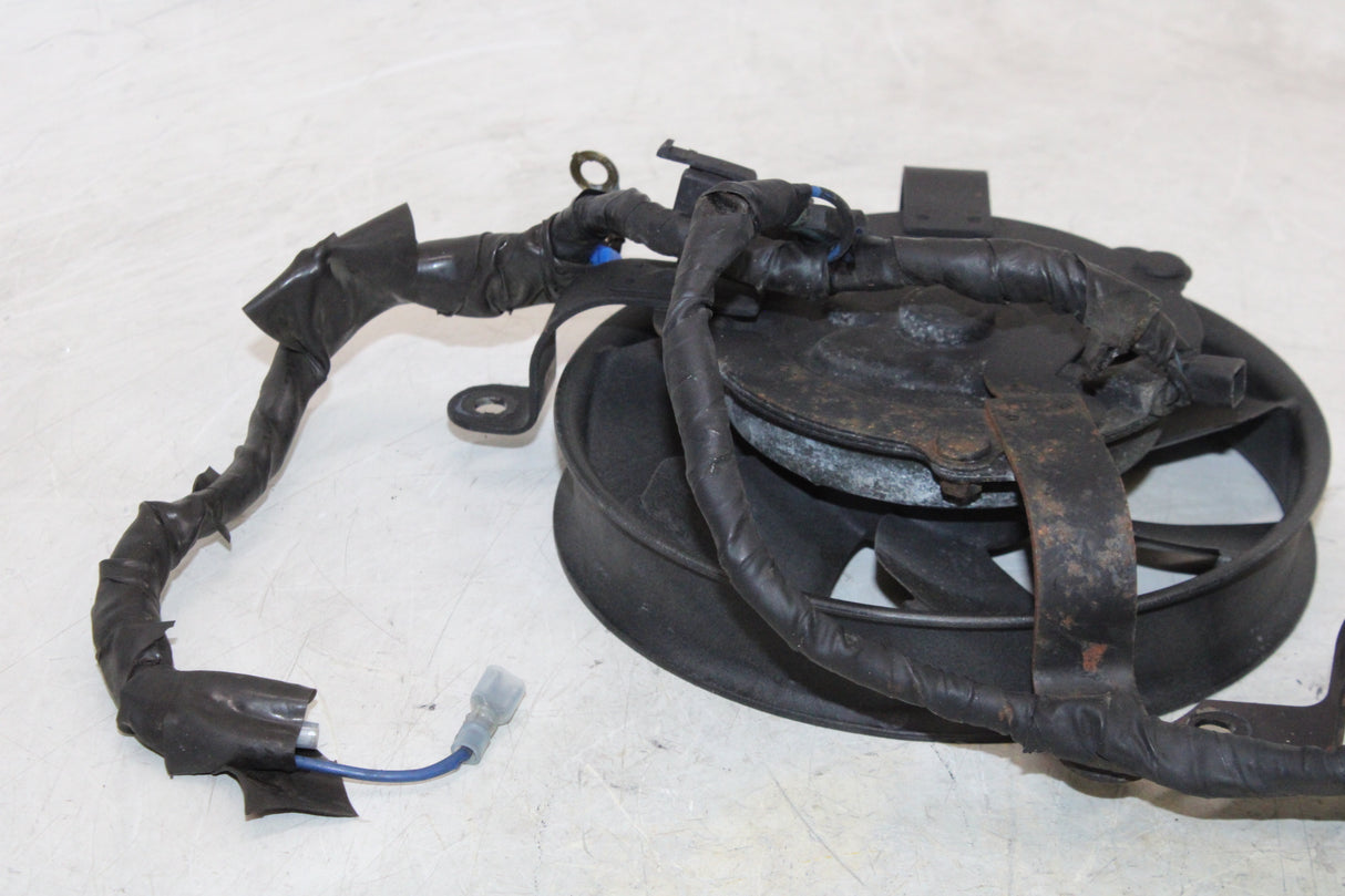 2000 Honda CBR900RR OEM ENGINE RADIATOR COOLING FAN PAIR