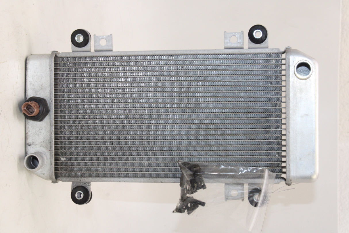 2009 Kawasaki Ninja 250R EX250J OEM ENGINE RADIATOR MOTOR COOLER COOLING